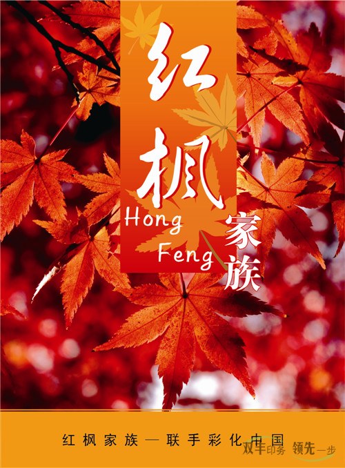 企業(yè)宣傳畫冊定制就選雙豐印務