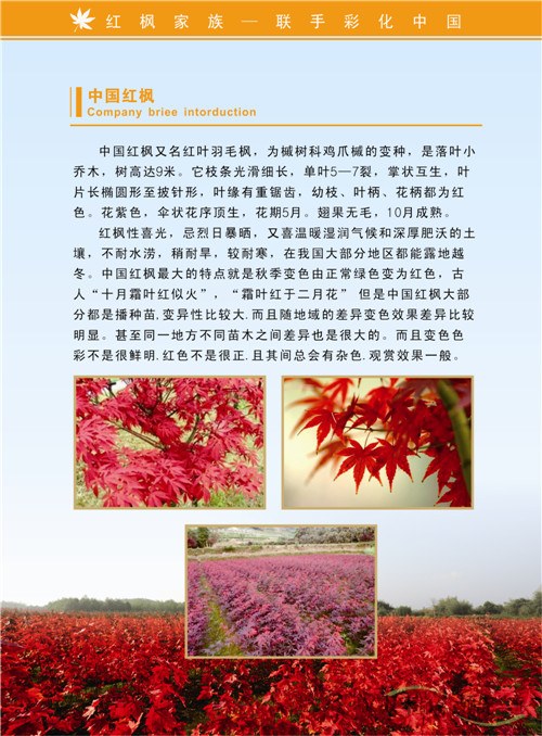 企業(yè)宣傳畫冊定制就選雙豐印務