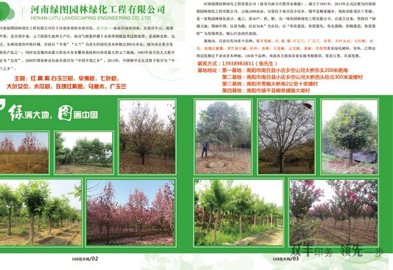 168花木網2015展會特刊