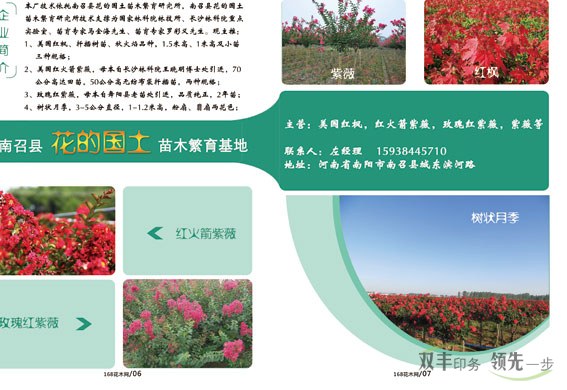 168花木網2015展會特刊